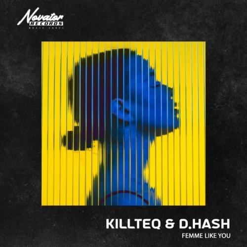 Femme Like You - Killteq & D.Hash