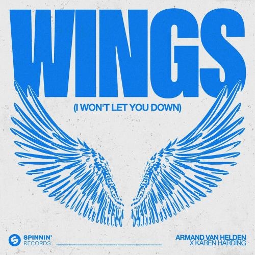 Wings (I Wont Let You Down) - Armand Van Helden feat. Karen Harding