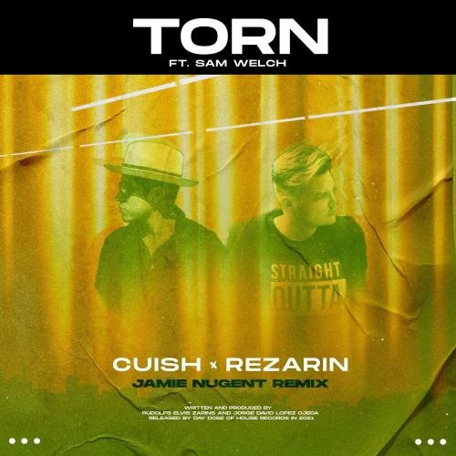 Torn (Jamie Nugent Remix) [Feat. Sam Welch] - REZarin & Cuish feat. Sam Welch