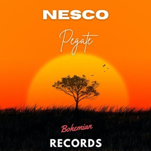 Pegate - Nesco