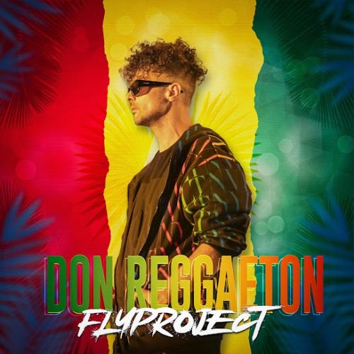 Don Reggaeton - Fly Project