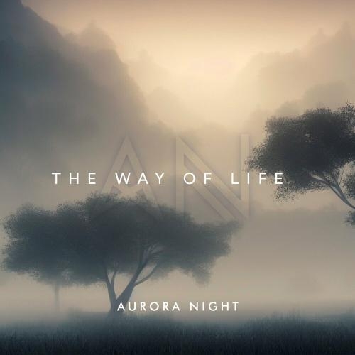 The Way Of Life - Aurora Night