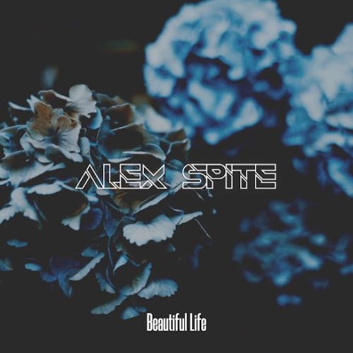 Beautiful Life - Alex Spite