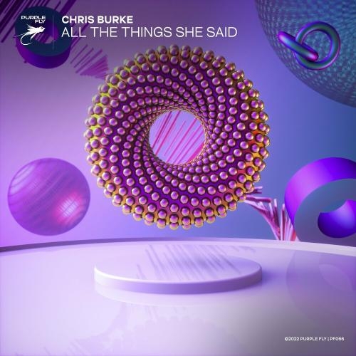 All The Things She Said - Chris Burke