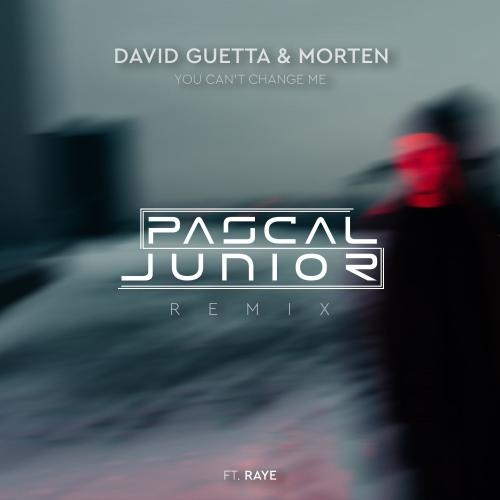 You Can't Change Me (Pascal Junior Remix) - David Guetta & MORTEN feat. Raye