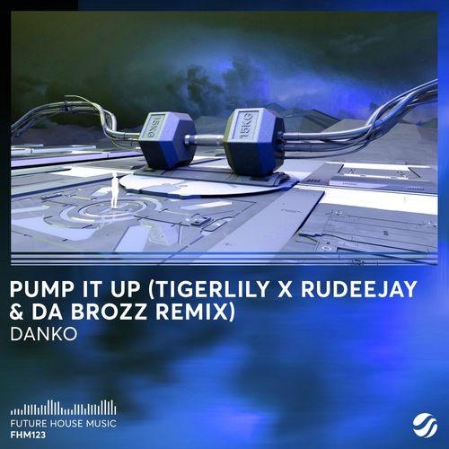 Pump It Up (Tigerlily x Rudeejay & Da Brozz Remix) - Danko