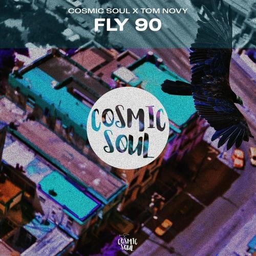 Fly 90 (Radio Edit) - Cosmic Soul & Tom Novy