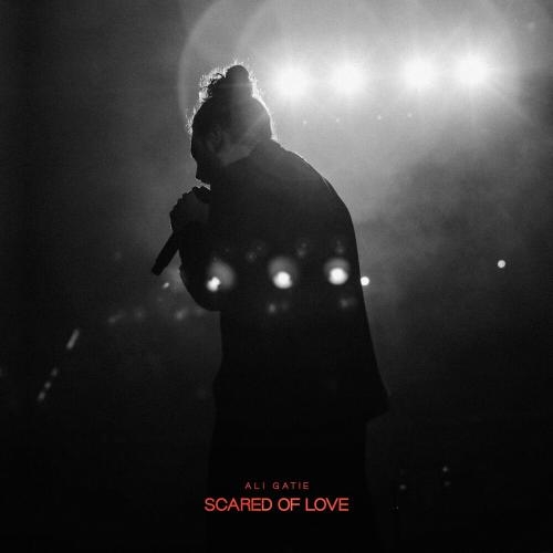 Scared Of Love - Ali Gatie