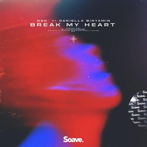 Break My Heart - NSH feat. Daniella Binyamin