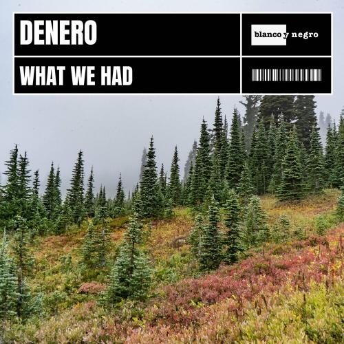 What We Had - Denero