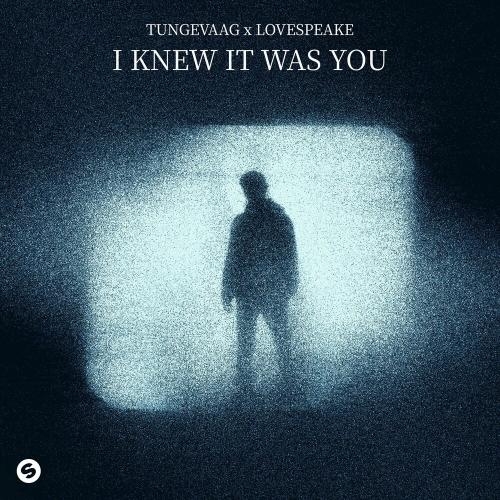 I Knew It Was You - Tungevaag & Lovespeake