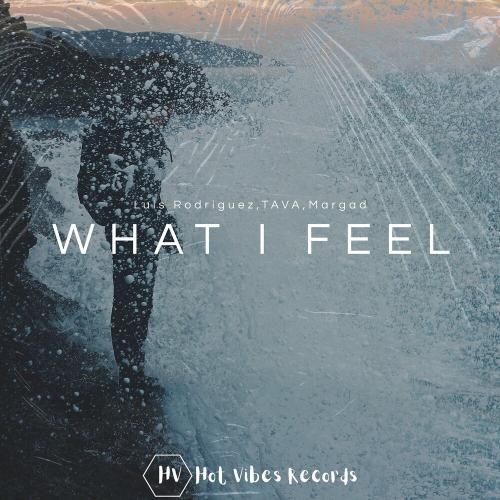 What I Feel - Luis Rodriguez, Tava & Margad