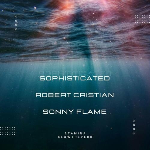 Stamina (Slowed x Reverb Version) - Sophisticated feat. Robert Cristian x Sonny Flame