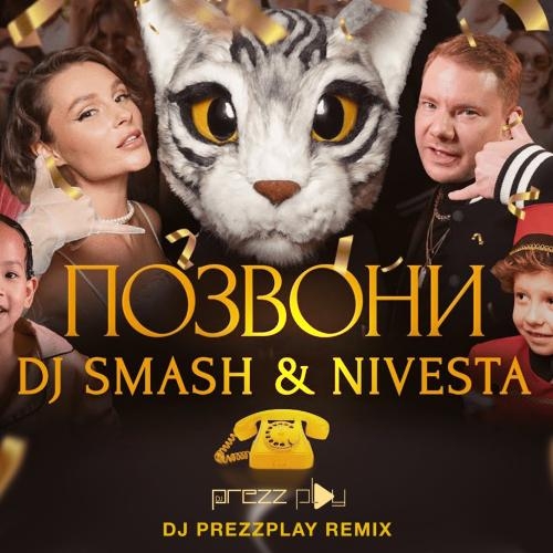 Позвони (DJ Prezzplay Radio Edit) - DJ Smash feat. NIVESTA