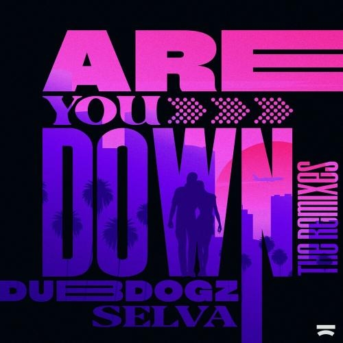 Are You Down (Gustavo Mota & Evoxx Remix) - Dubdogz, Selva & Gustavo Mota