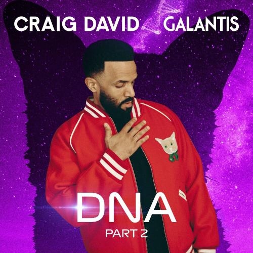 Dna (Part 2) - Craig David & Galantis