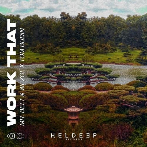 Work That - Mr. Belt & Wezol feat. Tom Budin