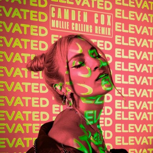 Elevated (Mollie Collins Remix) - Camden Cox