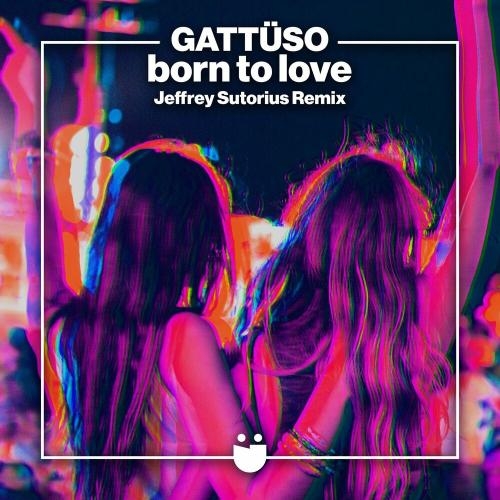 Born To Love (Jeffrey Sutorius Remix) - Gattuso