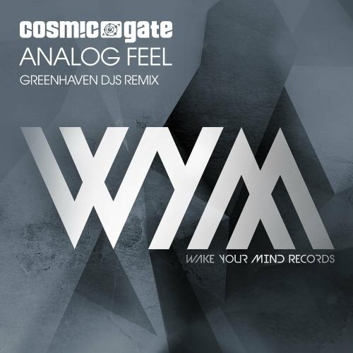 Analog Feel (Greenhaven DJs Remix) - Cosmic Gate