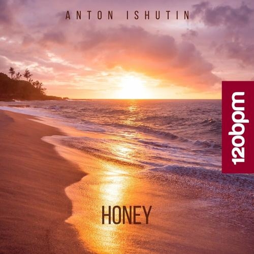 Honey - Anton Ishutin