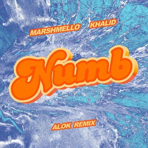 Numb (Alok Remix) - Marshmello, Khalid & Alok