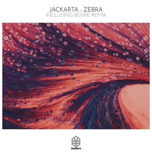 Zebra - Jackarta