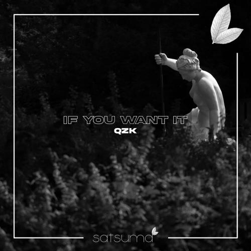 If You Want It - QZK