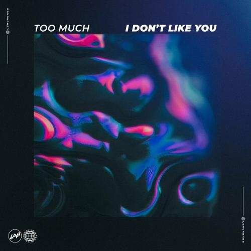 I Don't Like You - Too Much