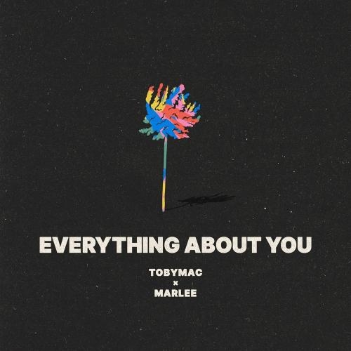 Everything About You - Tobymac feat. Marlee