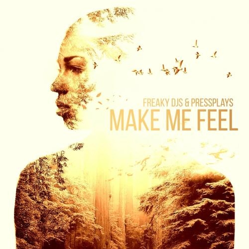 Make Me Feel - Freaky DJs & PressPlays