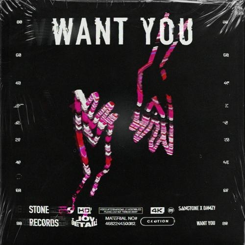 Want You - Samstone feat. Damzy