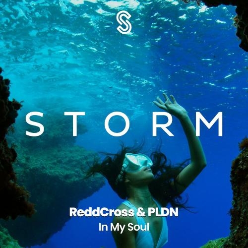 In My Soul - ReddCross & PLDN