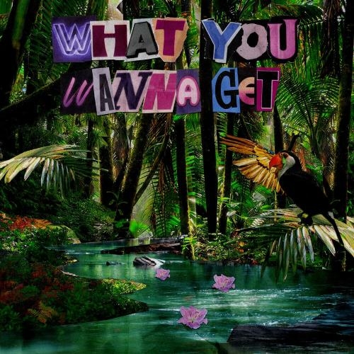 What You Wanna Get - ELYX & Chacel