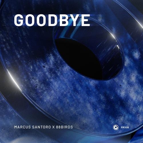 Goodbye - Marcus Santoro feat. 88birds