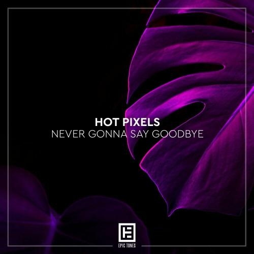 Never Gonna Say Goodbye - Hot Pixels