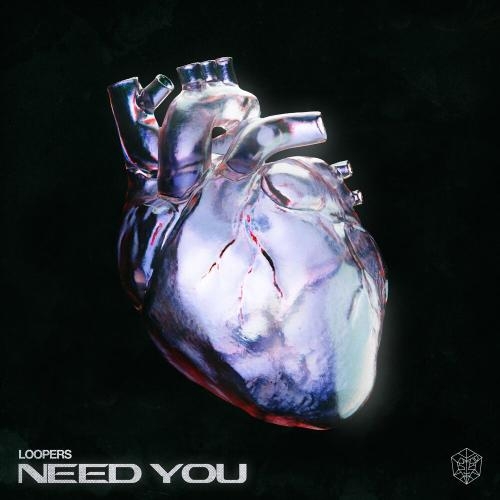 Need You (Extended Mix) - LOOPERS