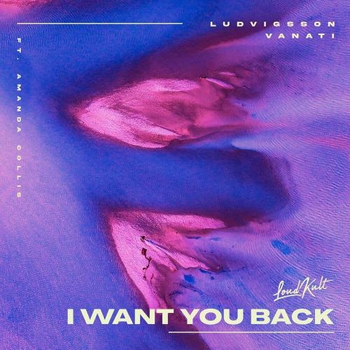 I Want You Back - Ludvigsson & Vanati feat. Amanda Collis