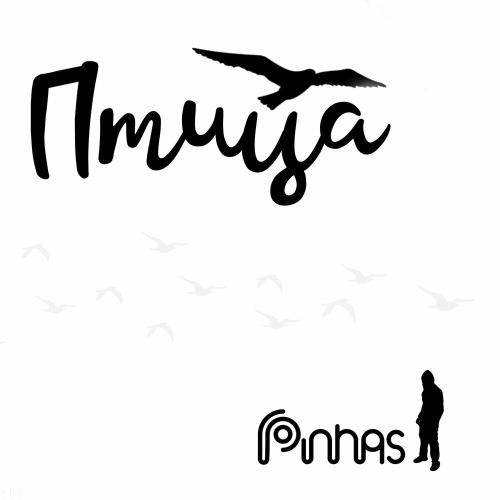 Птица - Pinhas