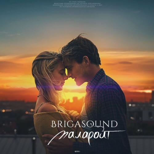 Полароид - Brigasound