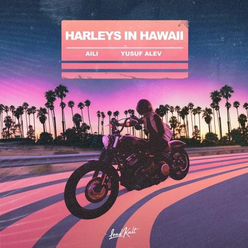 Harleys in Hawaii - Aili & Yusuf Alev