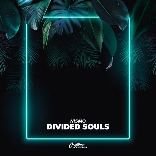 Divided Souls - N!smo