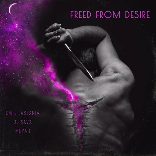 freed from desire - Emil Lassaria, DJ Sava & Meyah