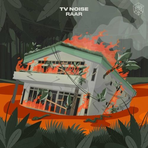 RAAR - TV Noise