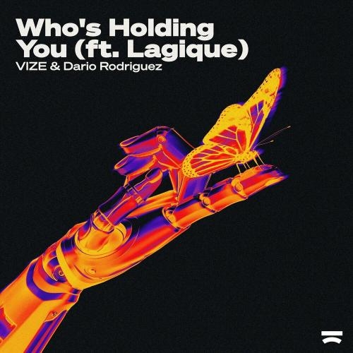 Who's Holding You - Vize, Dario Rodriguez & Lagique