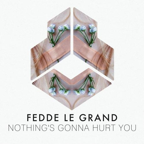 Nothing's Gonna Hurt You (Extended Mix) - Fedde Le Grand