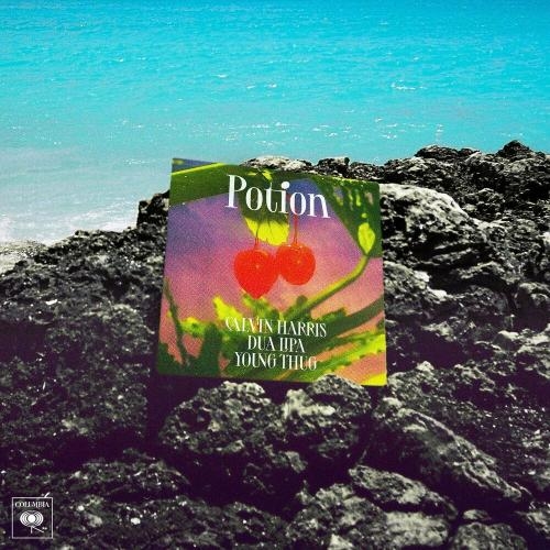 Potion - Calvin Harris, Dua Lipa & Young Thug