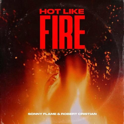 Hot Like Fire - Sonny Flame feat. Robert Cristian