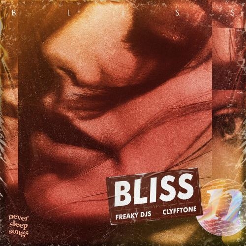 Bliss - Freaky DJs feat. Clyfftone & Neversleepsongs