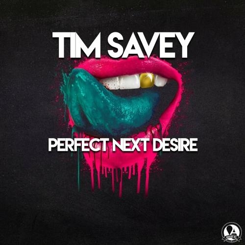 Perfect Next Desire - Tim Savey